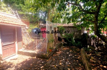 Terrain à FORT DE FRANCE (97200) - 3011443381