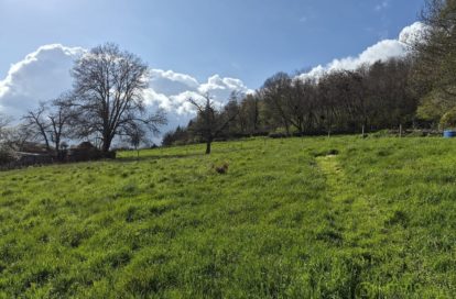 Terrain constructible à SEMONS (38260) - 3011443628