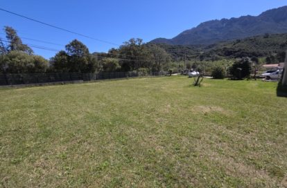 Maison à VERO (20172) - 3011443716