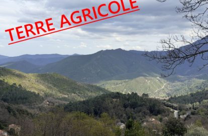 Terrain agricole à VENACO (20231) - 3011443738