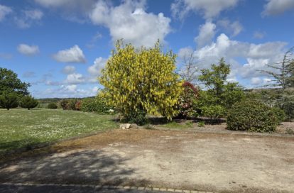 Terrain à GUERANDE (44350) - 3011443810