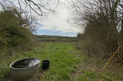 Terrain à CHASSIGNOLLES (36400) - 3011443959