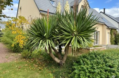Maison à SAINT JEAN LE THOMAS (50530) - 3011442692