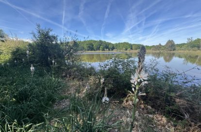Etang à PRISSAC (36370) - 3011443990