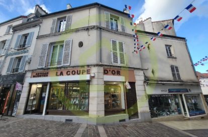 Appartement à rénover à LAGNY SUR MARNE (77400)