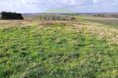 Terrain à SAINT MAIGRIN (17520) - 3011442902