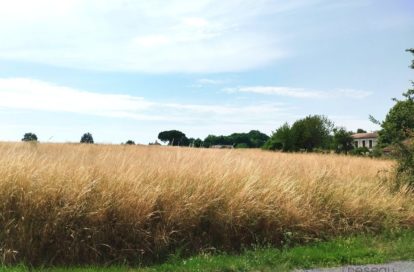 Terrain à MERIGNAC (17210) - 3011444489