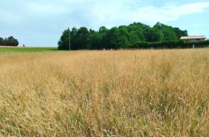 Terrain à MERIGNAC (17210) - 3011444491