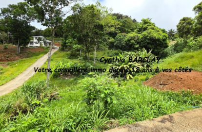 Terrain constructible à SAINTE LUCE (97228) - 3011433744