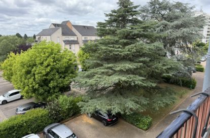 Appartement à ORLEANS (45100) - 3011435601