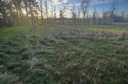 Terrain à Hédé-Bazouges (35630) - 3011440846