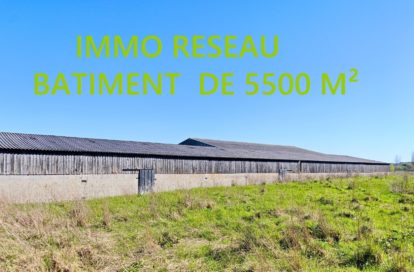 Bâtiment à SAINT HILAIRE DE RIEZ (85270) - 3011443103