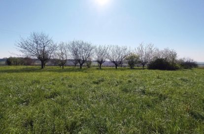 Terrain à SAINT MAIGRIN (17520) - 3011443458