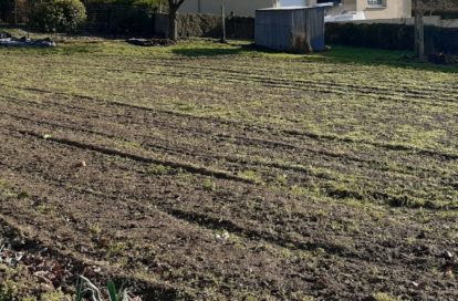 Terrain à SAINT NICOLAS DU TERTRE (56910) - 3011443913
