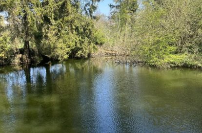 Terrain à MOREUIL (80110) - 3011443936