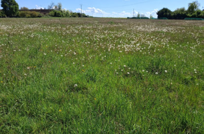 Terrain à CHANTECOQ (45320) - 3011443948