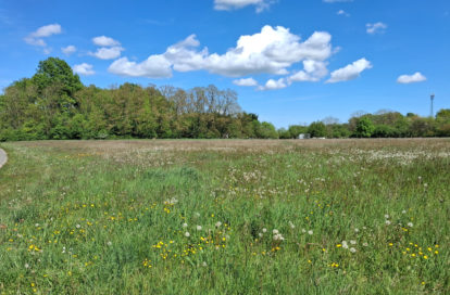 Terrain à Chantecoq (45320) - 3011443997