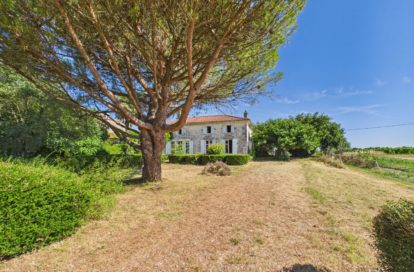 Maison à SAINT-THOMAS-DE-CONAC (17150) - 3011444415