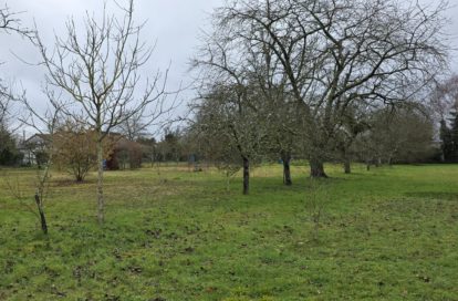 Terrain à ARDENTES (36120) - 3011444471