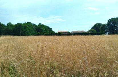 Terrain à MERIGNAC (17210) - 3011444488
