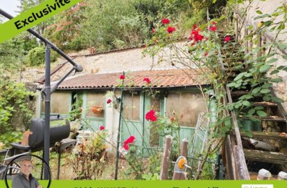 Maison à LE BLANC (36300) - 3011444516