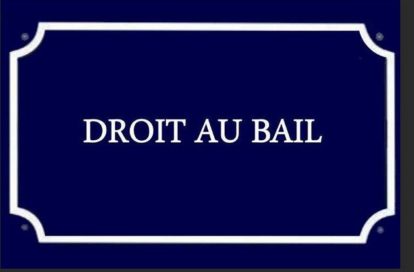 Local commercial à SAINT MALO (35400) - 3011444634