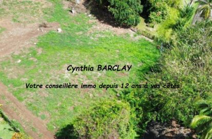 Terrain à DUCOS (97224) - 3011444674