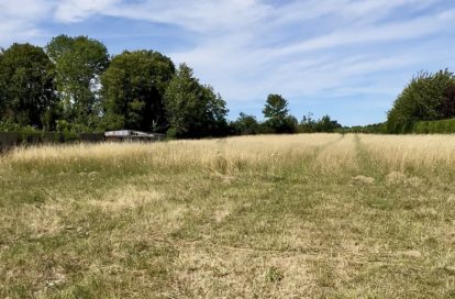 Terrain constructible à MARQUION (62860) - 3011444810