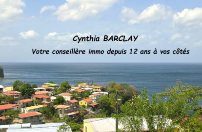 Terrain constructible à CASE PILOTE (97222) - 3011444927
