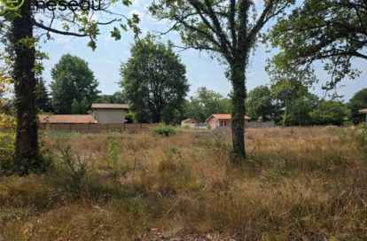 Terrain constructible à LE TEICH (33470) - 3011444946