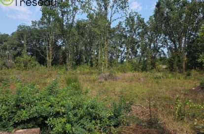 Terrain constructible à LE TEICH (33470) - 3011444955