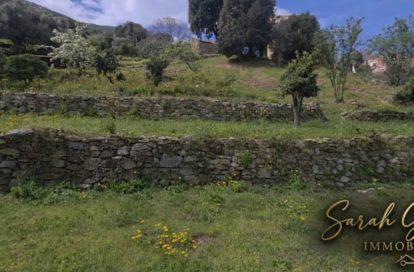 Terrain à ALATA (20167) - 3011445044